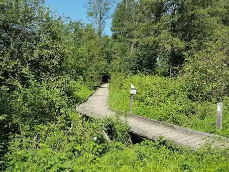Sentier De L'étang