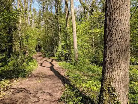 Photo de Brown's Wood