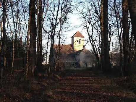 Photo de Forêt Domaniale de Châteauroux