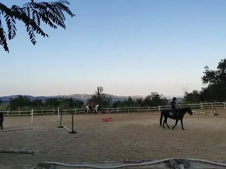 Maneggio Team Horse