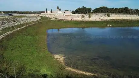 Photo de Cimitero Comunale di Sanarica