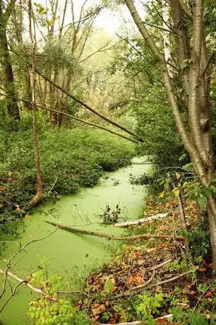 Photo de Oude Nete-arm