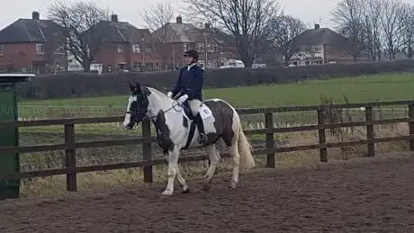 Photo de Lane Farm Equestrian