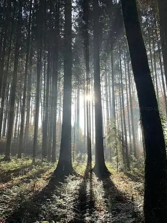 erlebnisreich-natur.ch