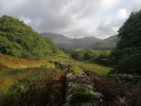 Photo de Dinas Emrys
