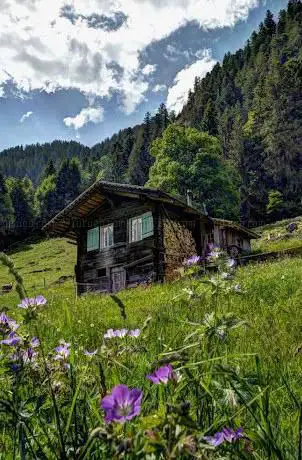 Kirschbaumhütte  yeti.ch