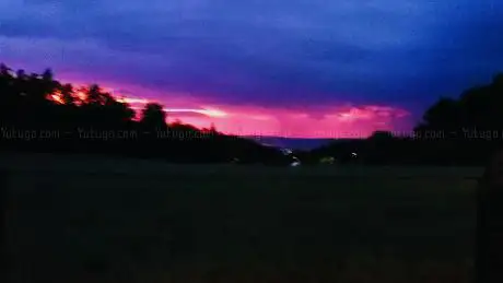 STEFAN:NACHTNEBEL