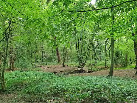 Photo de Thundersley Glen