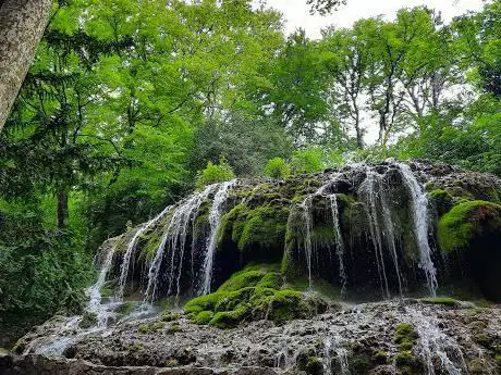 Photo de Forêt de Saint-Pons