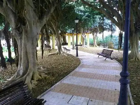 Photo de Mini Jungla