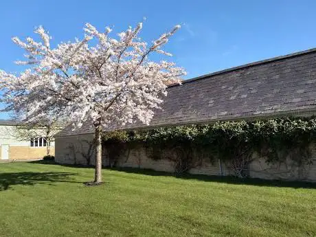 Photo de The Daylesford House Gardens
