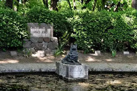 dogs Cemetery