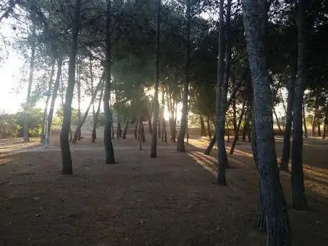 Photo de Parque De Abajo