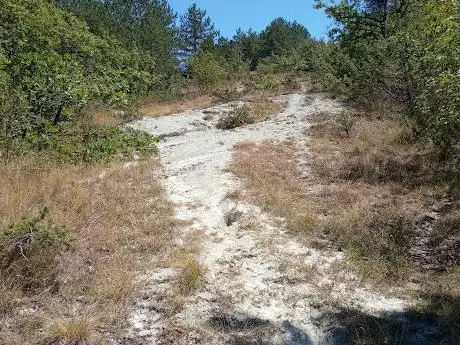 Photo de Pietralata Enduro Bike Park