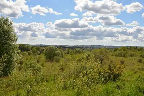 Photo de Old Mine Nature Park