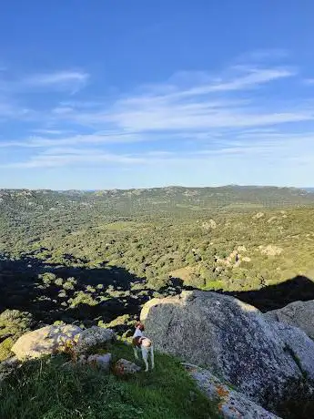 Casteddu di u Conti Pazzu