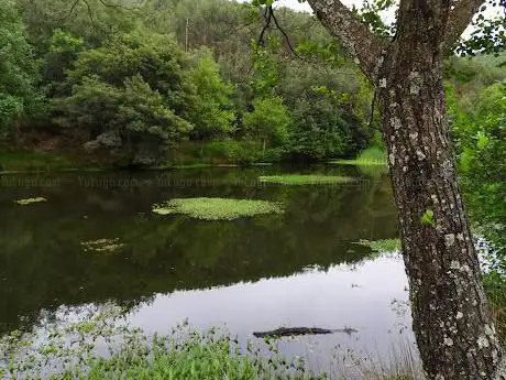 Barragem do Seixo