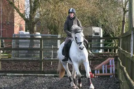 Photo de Stickney Riding Centre