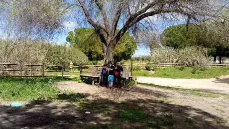 Photo de Parque Rio Pudio