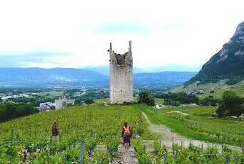 Photo de Tour Laplace