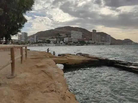Photo de Viveros Romanos