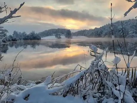 Horgener Bergweiher