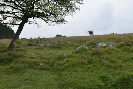 Photo de Bellever Moor & Meadows