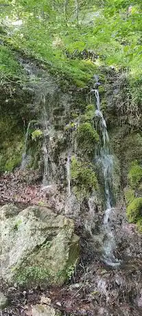 Photo de Grotta dello Scalandrone