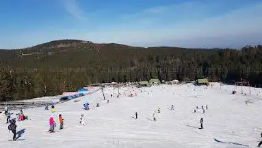 Photo de Mehliskopf
