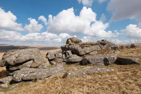 Fox Tor