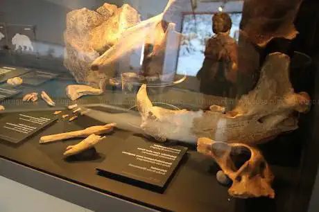Urgeschichtliches Museum Blaubeuren