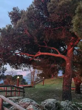 View point
