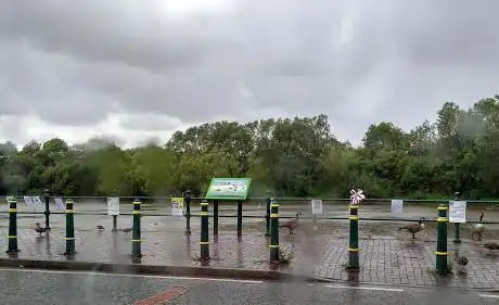 Swan Pool