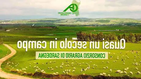 Consorzio Agrario di Sardegna - Agenzia Iglesias