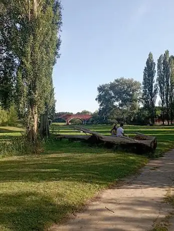 Photo de Westgate Park