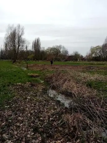 Groen Vangeel Bvba