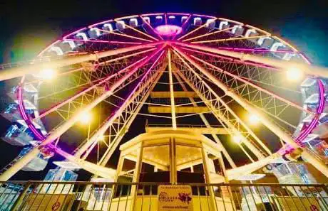 Genova Wheel