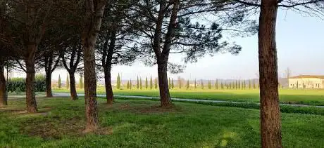 Pineta Con Tavoli