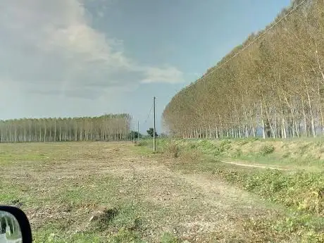 Pista Dei Cedri