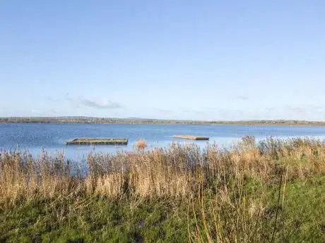 Photo de RSPB Portmore Lough Bird Hide