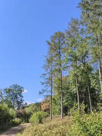Photo de Haugh Wood Butterfly Trail