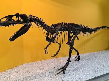Photo de Natural Science Museum of Valencia