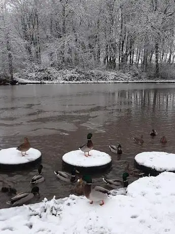 Photo de Stepping Stones