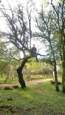 Photo de Merendero de los Horcones