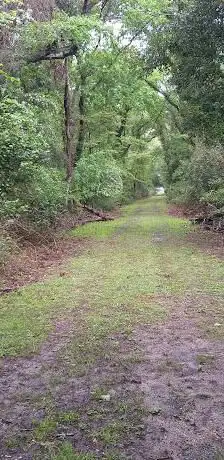 Oasi WWF Bosco di Cornacchiaia