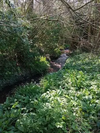 Coombe Valley Park