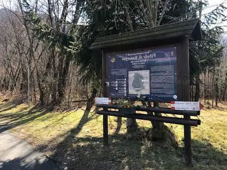 Photo de Palude Di Roncegno