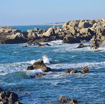 Photo de La côte sauvage du Croisic