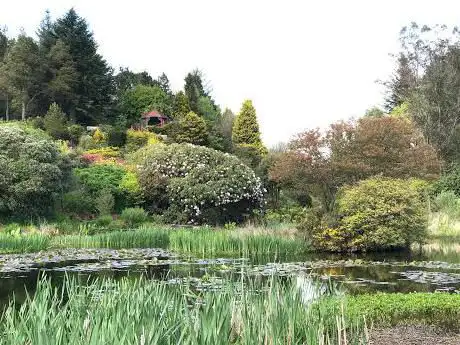 Photo de Glenwhan Gardens and Tearoom
