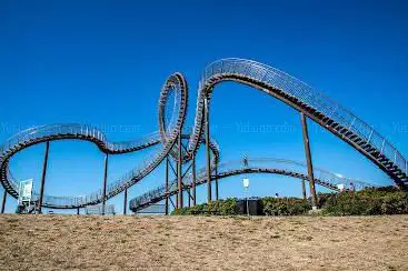 Tiger & Turtle